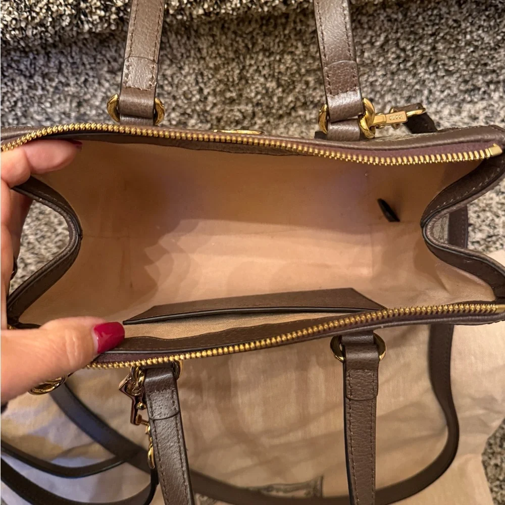 Gucci ophidia Brown Red and Green Women's Bag